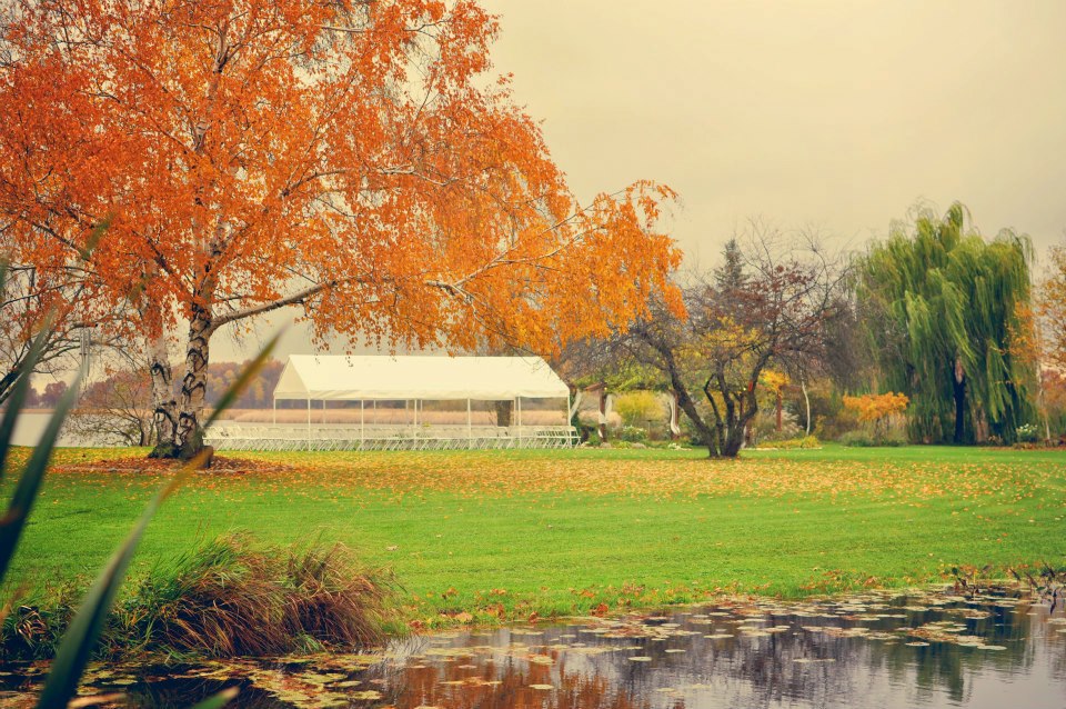 photo by The Inner Light Photography & Design