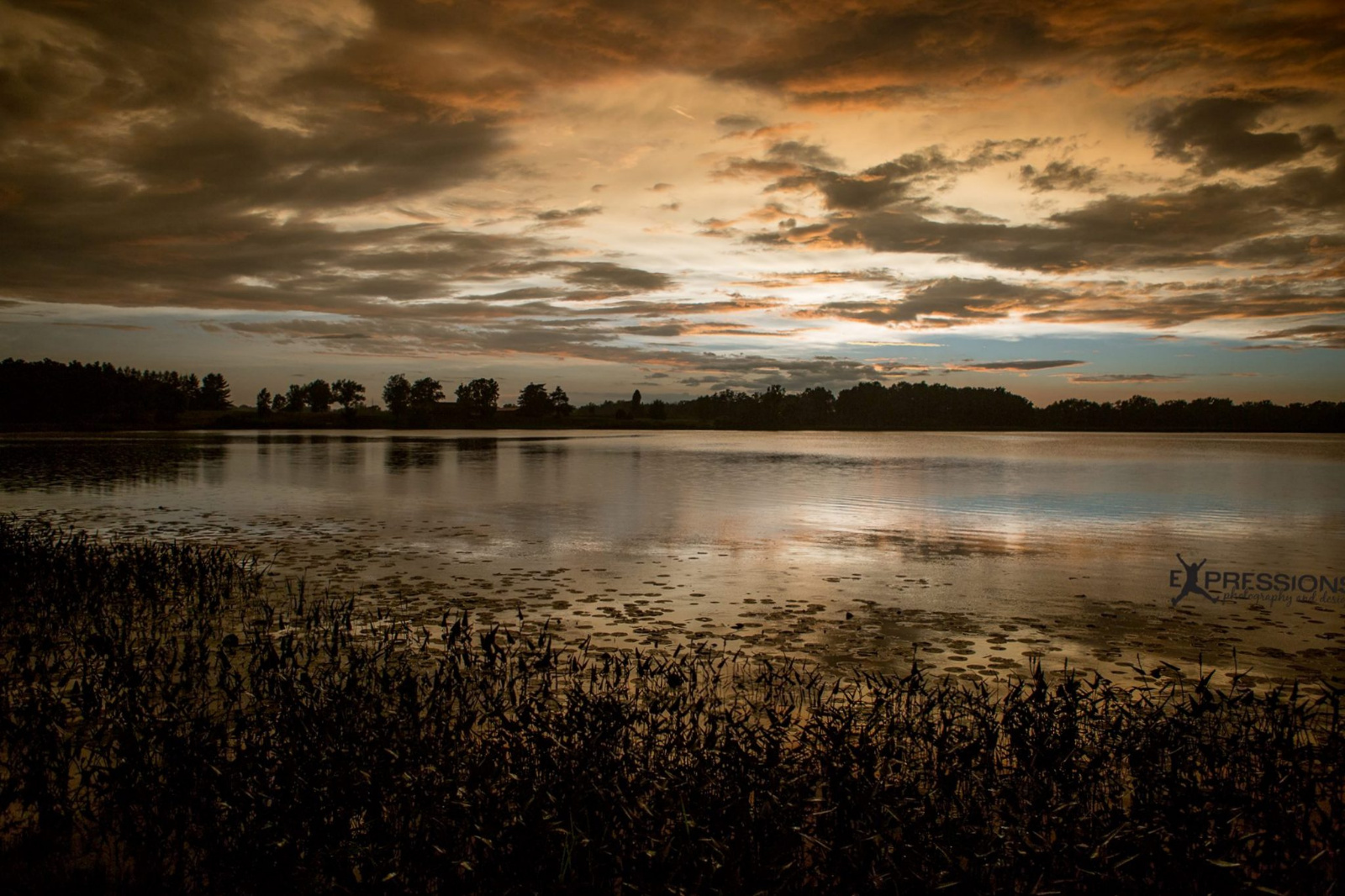 photo by Expressions Photography & Design