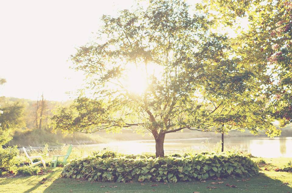 photo by Moon Owl Photography