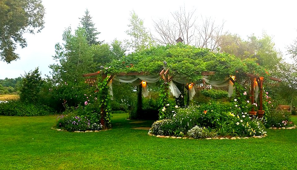 CURTAINED FLOWERING GAZEBO