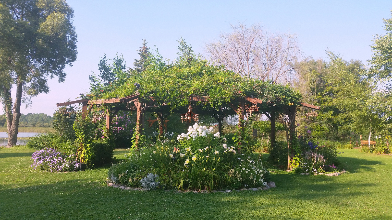 Daylily, Phlox, Dahlia, Geranium, Roses, Daisies, Petunia, Veronica in flowerbeds while red and yellow Trumpet Vines bloom over the canopy