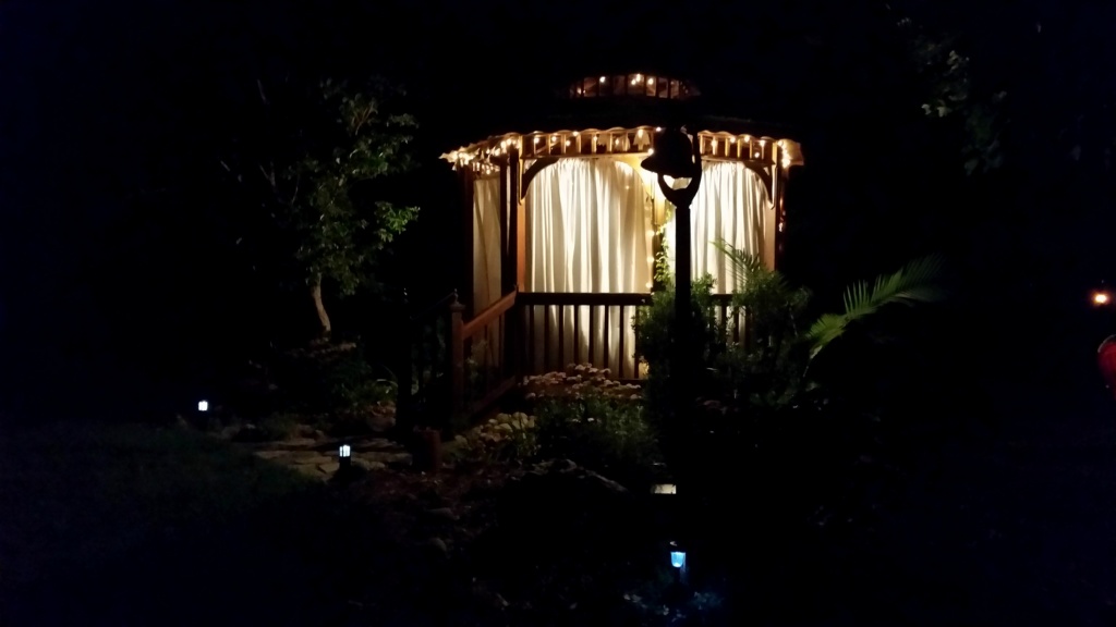 Cedar Gazebo is so pretty in the dark