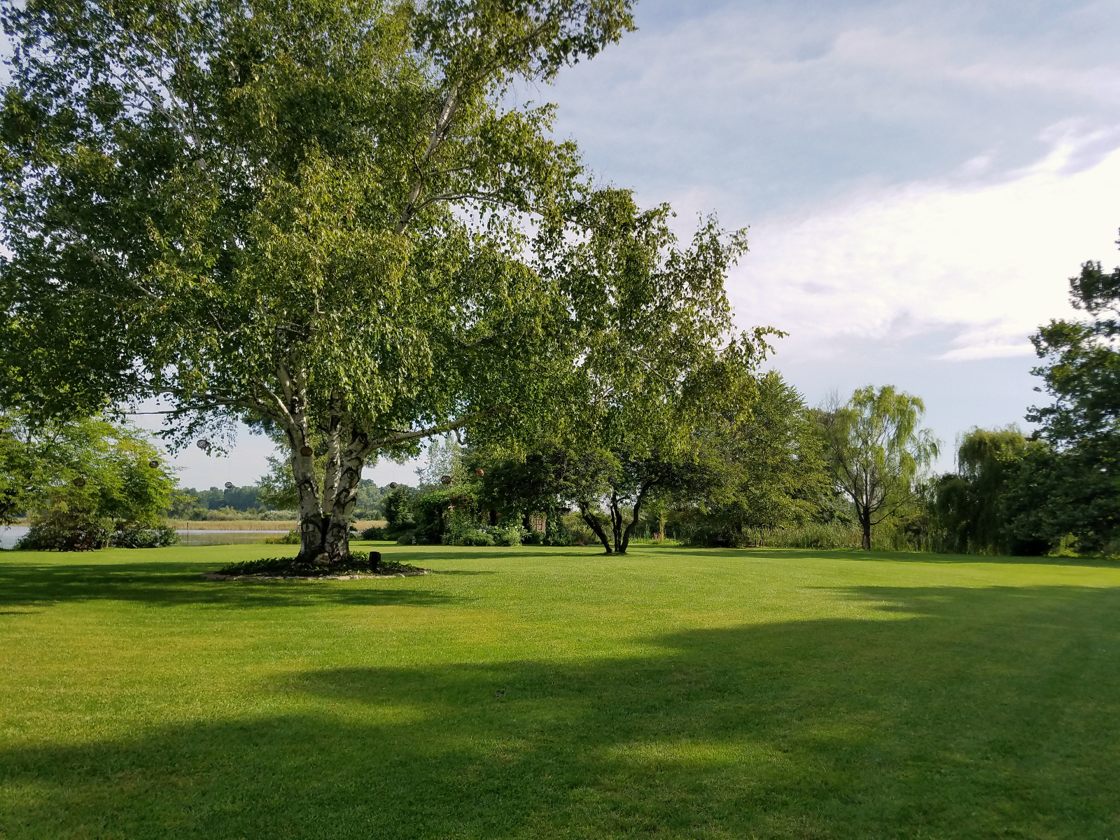 Distant Flowering Gazebo