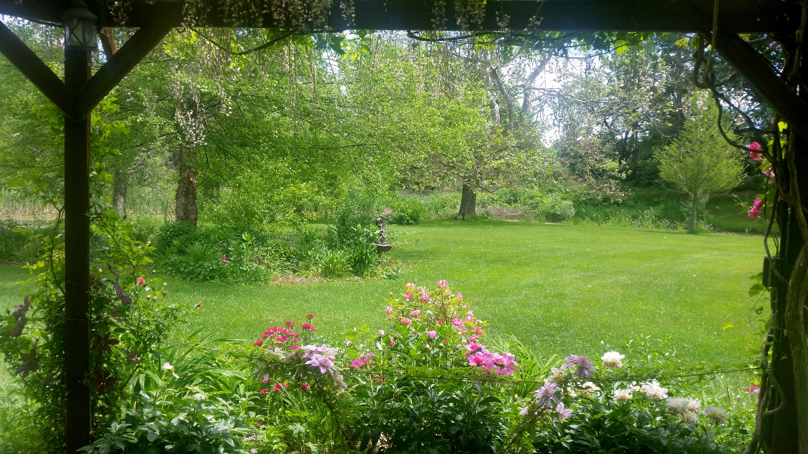 Roses, Garden Peony, Clematis and Sweet William