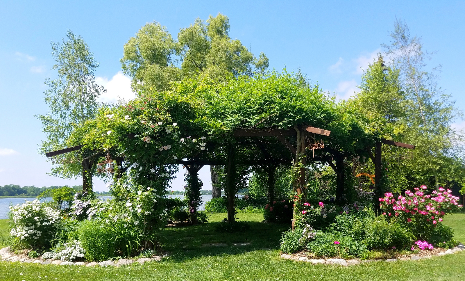 So many beautiful flowers!