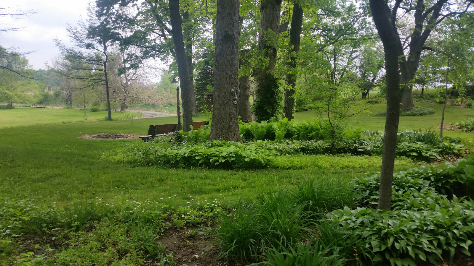 LOOK ACROSS THE FRONT YARD