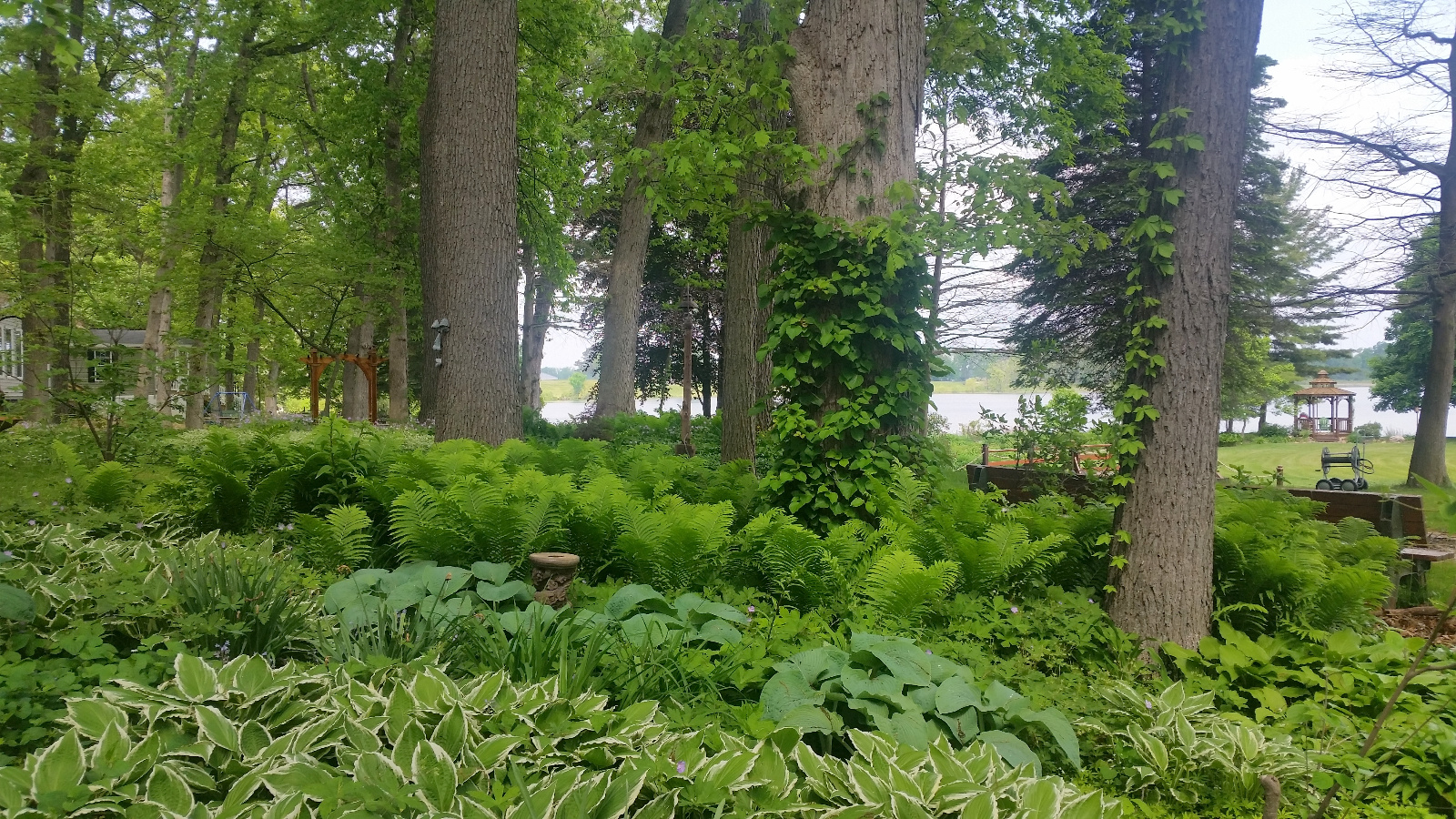 EMERGING SPRING PLANTINGS