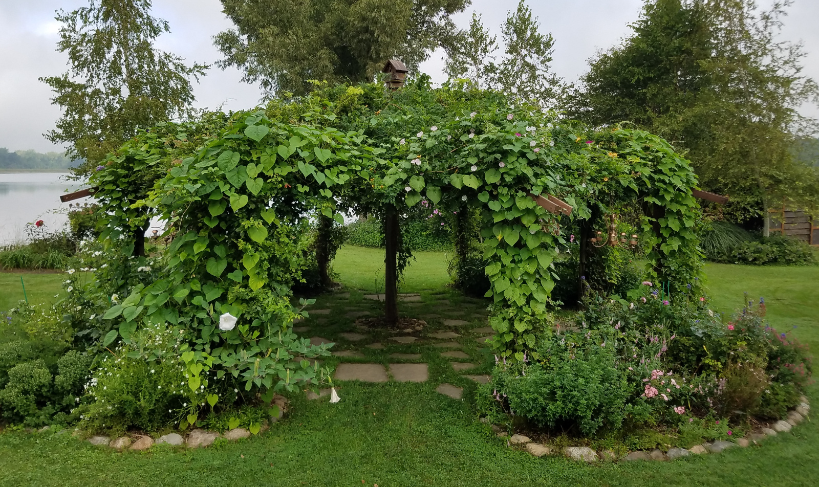 Flowering Gazebo; October 2, 2016