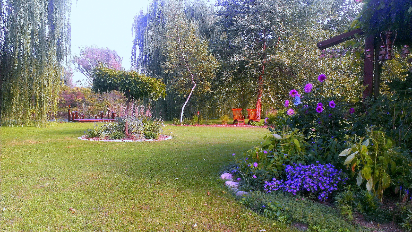 Blue flowerbed of Flowering Gazebo on right with Tree Wisteria bed on right