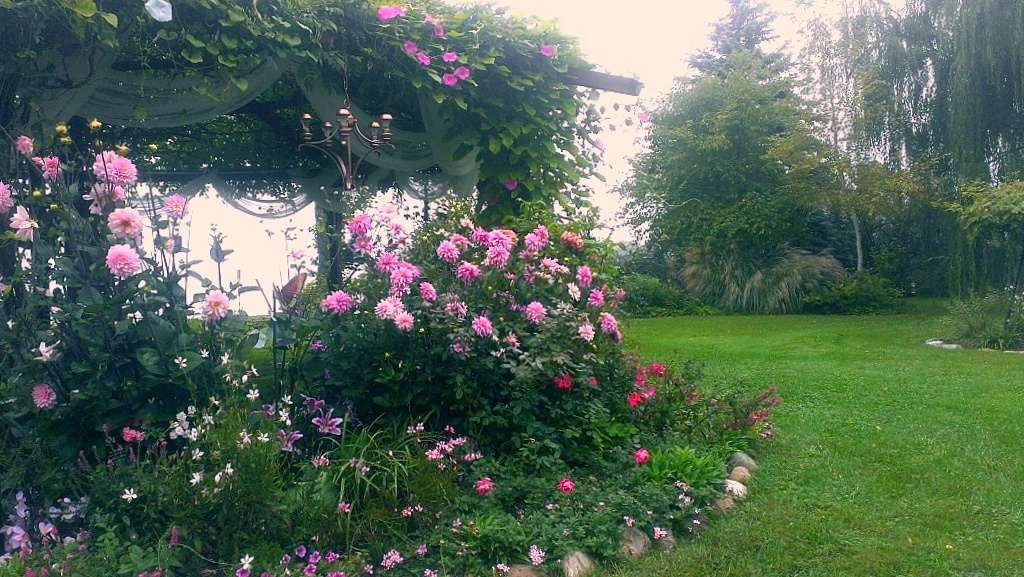 Pink flowerbed of Flowering Gazebo