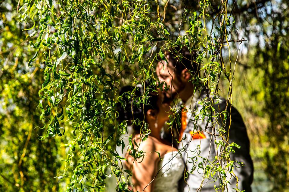 Expressions Photography Design 